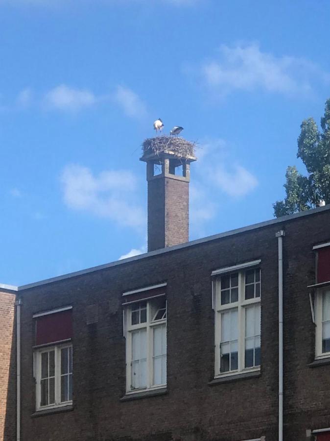 Apartament Six Amsterdam Zewnętrze zdjęcie