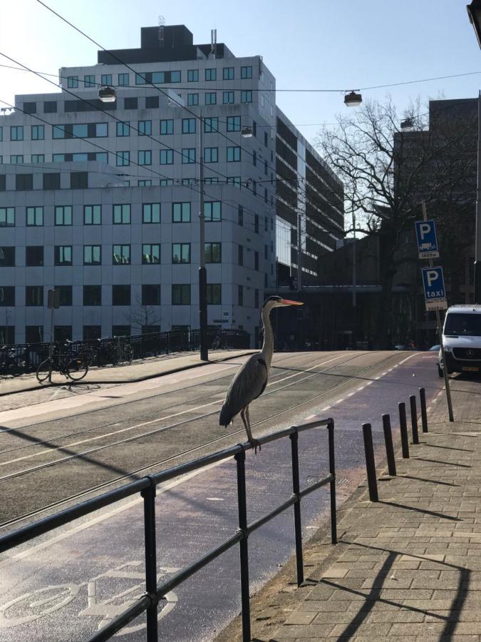 Apartament Six Amsterdam Zewnętrze zdjęcie